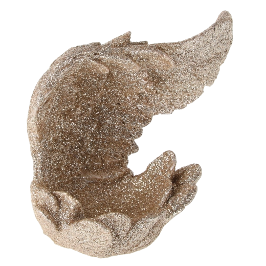 Compact and practical dimensions