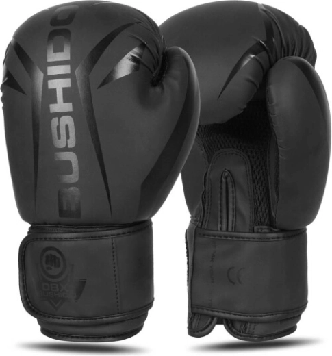 Gants de boxe DBX Bushido B-2v22