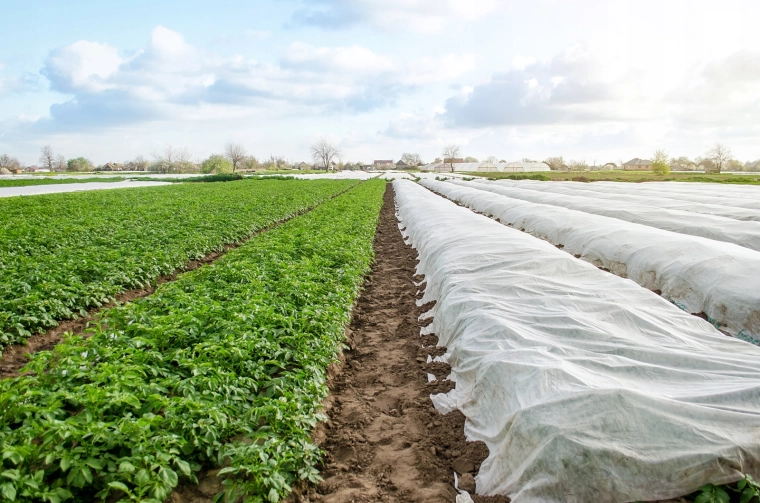 Retient la chaleur et accélère le début de saison