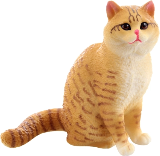 Struttura stabile e compatta