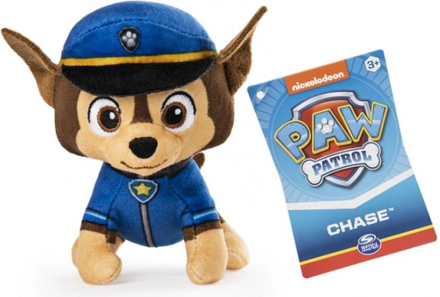 Authentic uniform with badge