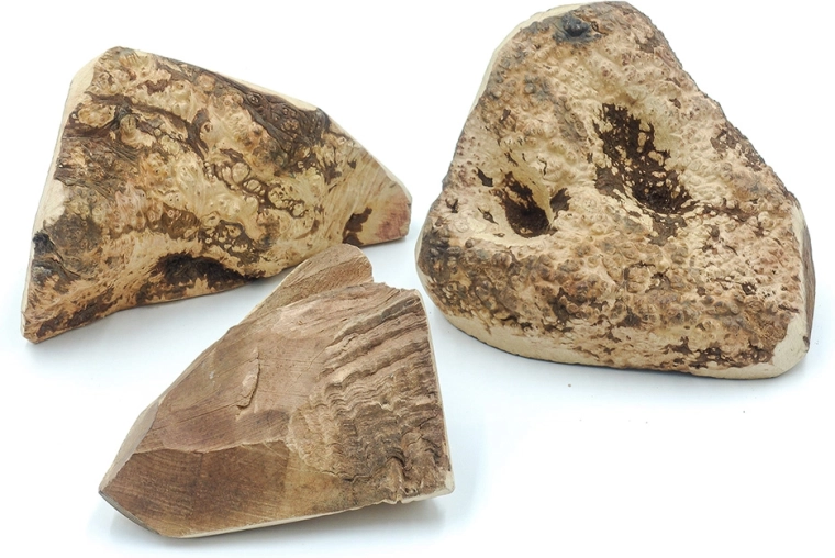 Ideal for a range of canine needs