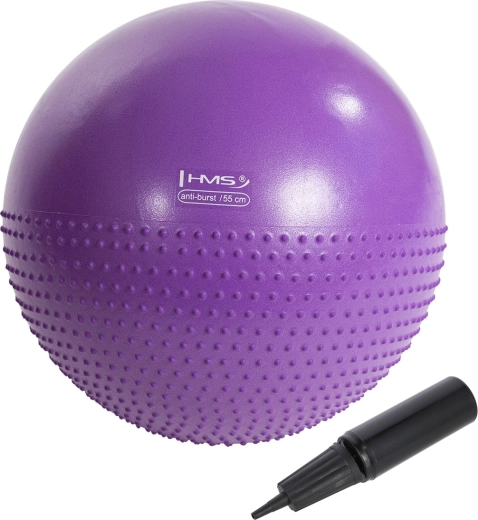 HMS YB03N Massage Gym Ball 55 cm Purple