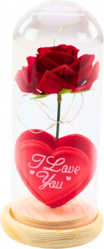 Eternal Rose in Glass Dome with LED Lighting, Red, with Heart
