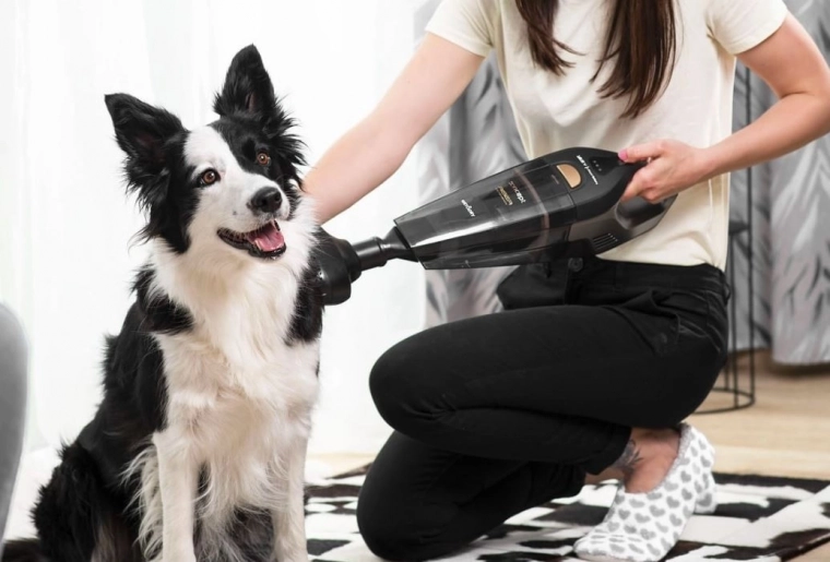 PET kartáč: jemná péče a efektivní odstranění chlupů