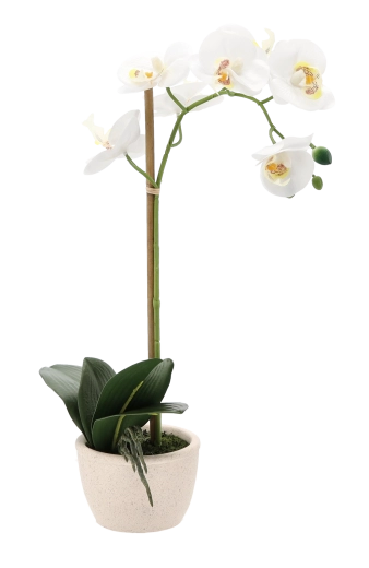 Vaso stabile ed elegante