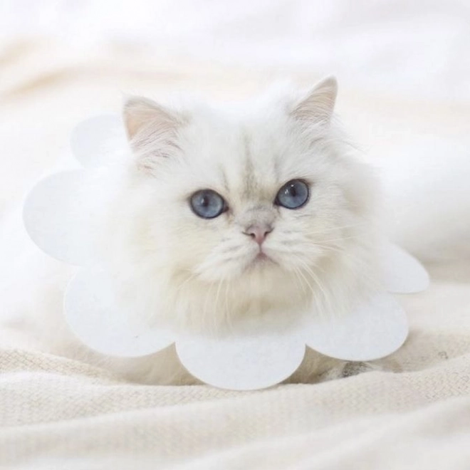 Gentle protection for sensitive areas