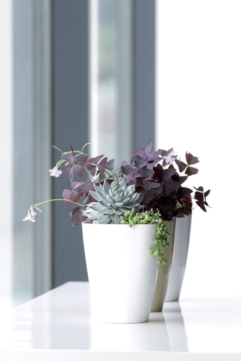 Accessorio elegante per interni e balcone