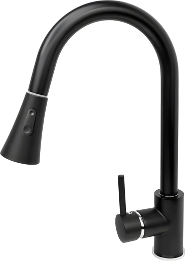 Robinet de cuisine Renew Force avec bec orientable extractible