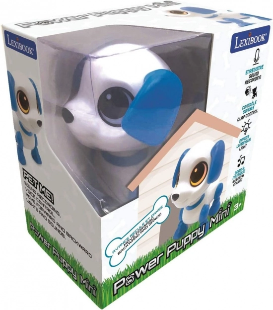 Voice recording and playback