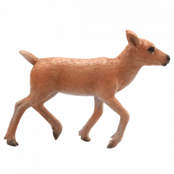 mojo rendier – kalf