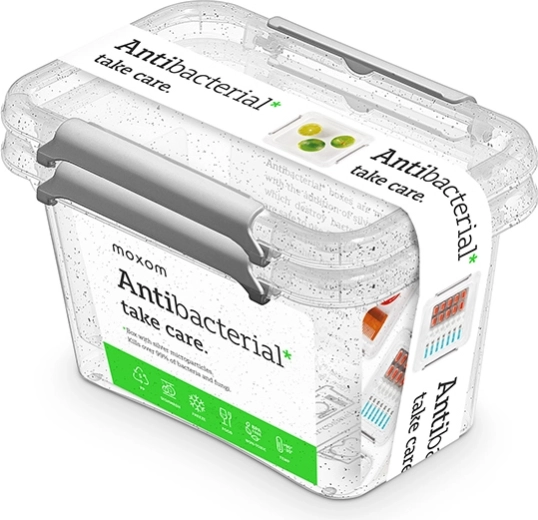 Boîtes alimentaires antibactériennes 2× 650 ml
