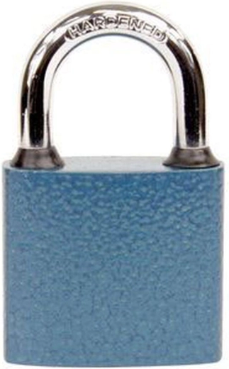 OVAL 38 RICHTER Padlock, 3 keys