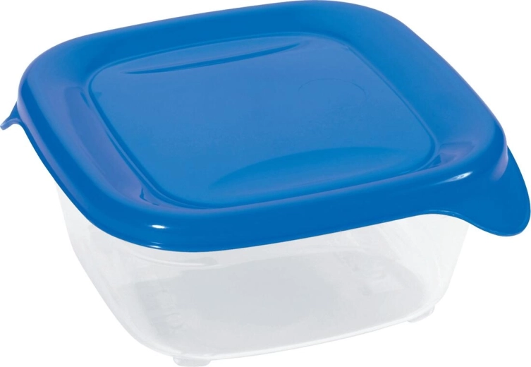 FRESH & GO food container 0.25 l, square