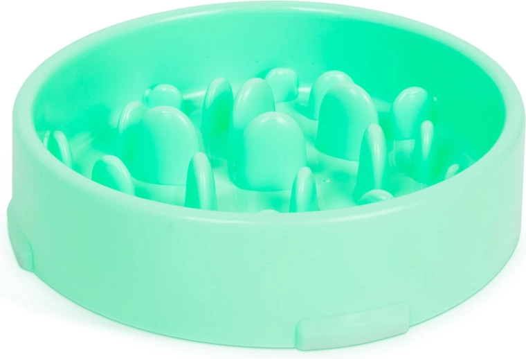 Green Slow Feeder Dog Bowl