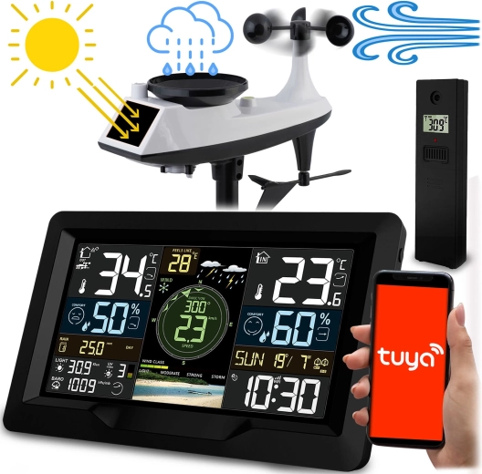 Stazione meteorologica wireless con misurazione di vento e pioggia Berdsen