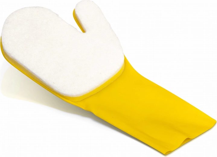 GRE Pool Cleaning Glove with Sponge