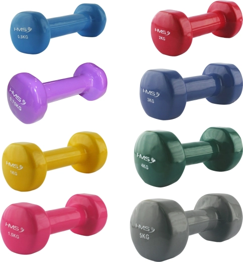 Cast iron dumbbell with vinyl coating 2 kg