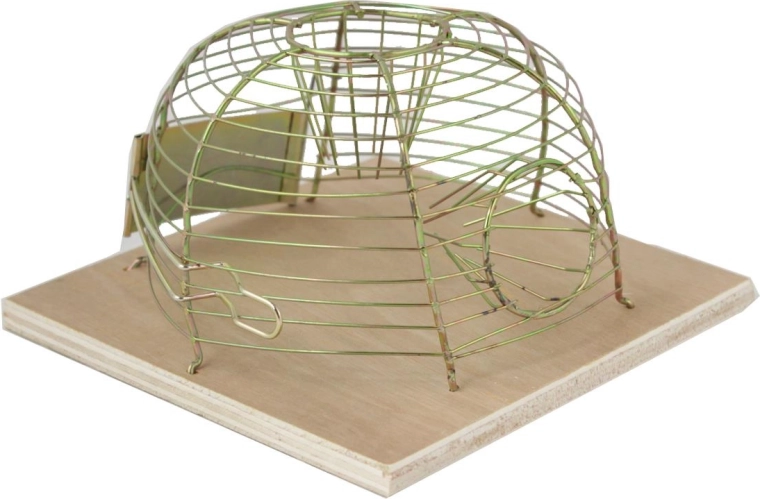 Piège vivant pour souris 14 × 14 cm