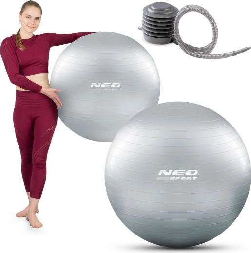 Gym ball 75 cm with anti-burst system, silver