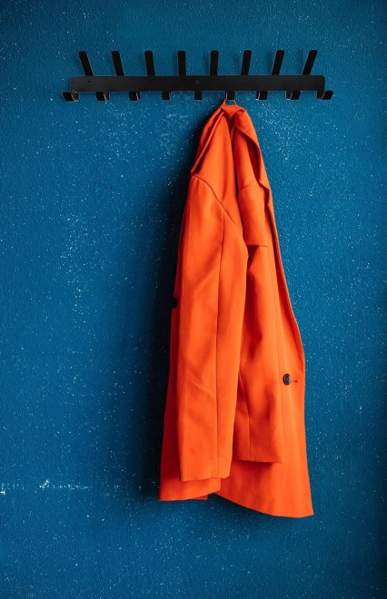 Wandkapstok van metaal met 17 haken – zwart