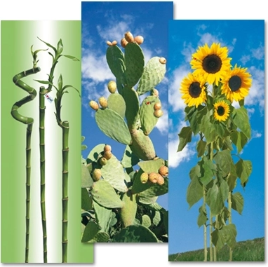 Housse en coton pour planche à repasser Gimi I Love S/M 129 × 48 cm