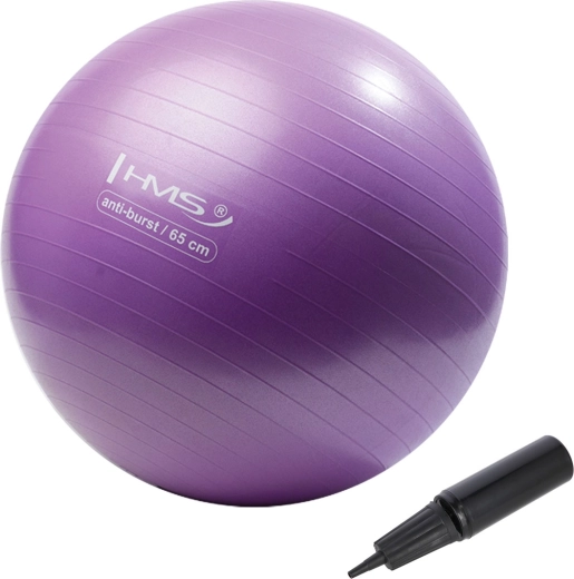 HMS Gym Ball 65 cm Purple