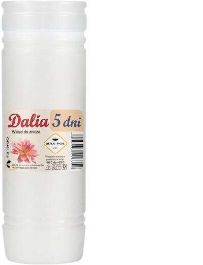 Lot de 10 recharges en paraffine Dalia 19 cm / 120 h