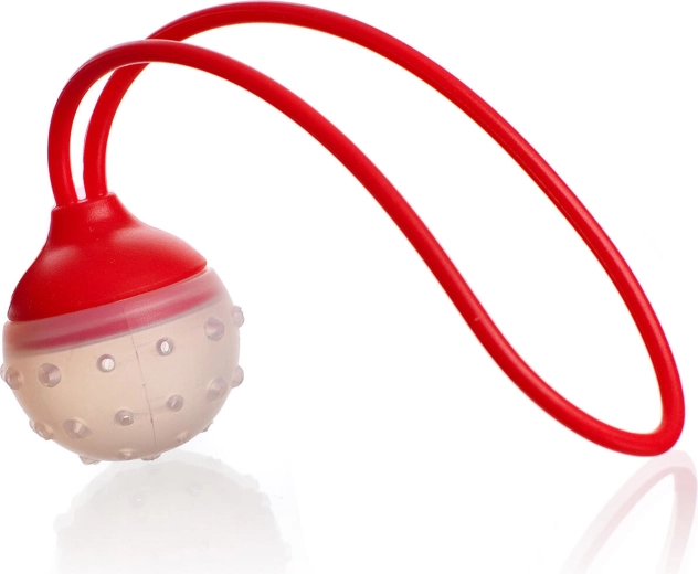 Filtro in silicone per tè e spezie CULINARIA, 5 × 22 cm, rosso