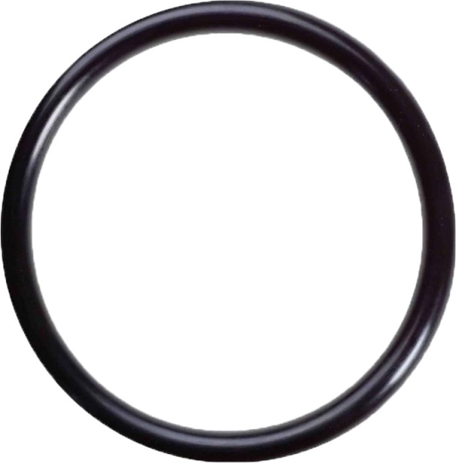 Seal under hose barb for ProStar 4/6 prefilter