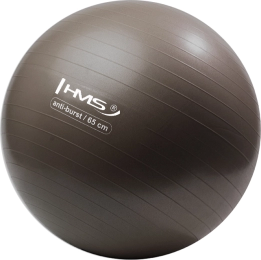 HMS Gym Ball 65 cm Bronze