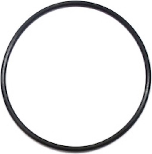 Filter head gasket for Prostar 3 and Prostar Profi 4/6