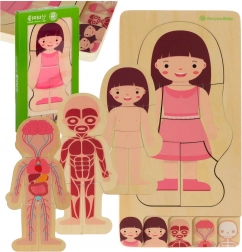 Wooden Layered Human Body Puzzle – Girl Montessori