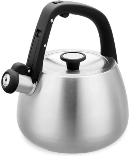 Stainless steel whistling kettle 2.5 l Maestro