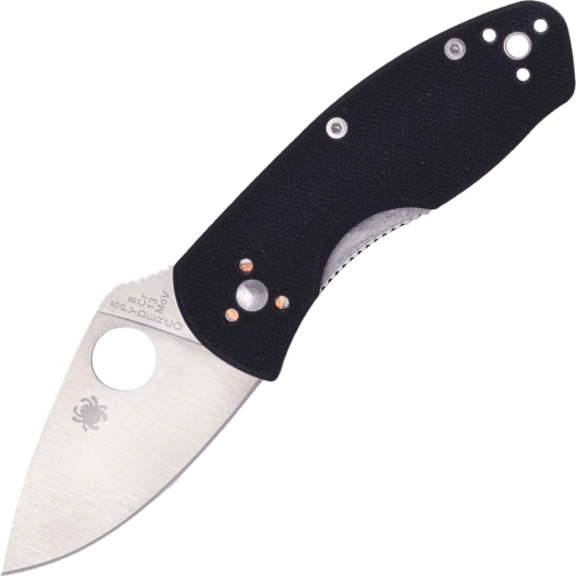 Spyderco Ambitious coltello tascabile 5,7 cm, nero, G10