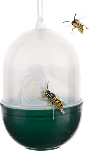 Piège à guêpes en plastique transparent/vert 8 × 11 cm