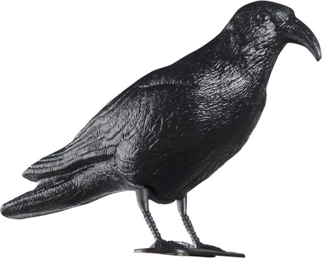 Dissuasore per piccioni in plastica a forma di corvo