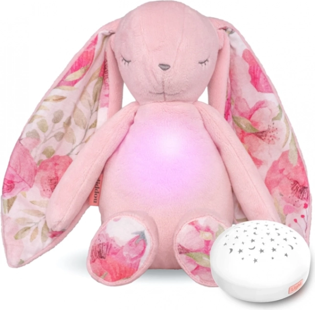 Diddou decibelmeter (met sterprojector) - roze