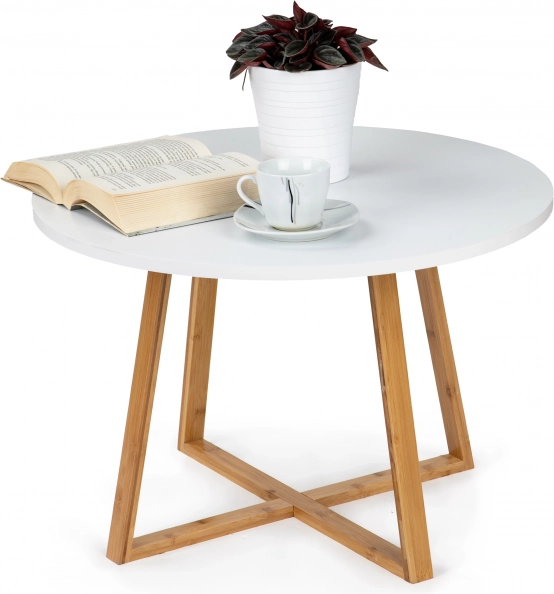 Moderne Scandinavische salontafel