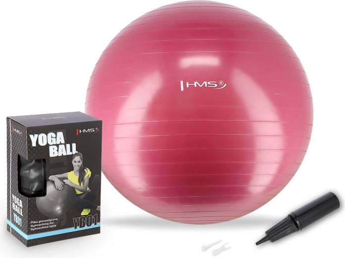 Gym Ball 65 cm HMS YB01N Plum
