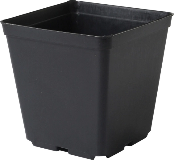 Lichte vierkante bloempot 9 × 9 × 10 cm, zwart (10 stuks)