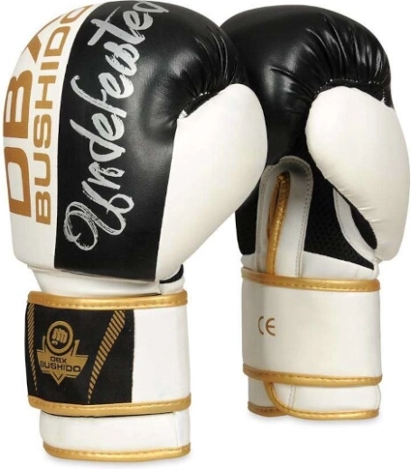 Gants de boxe DBX Bushido Undefeated B-2v16