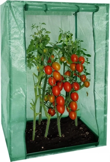 Serre de jardin en film 100 × 50 × 150 cm