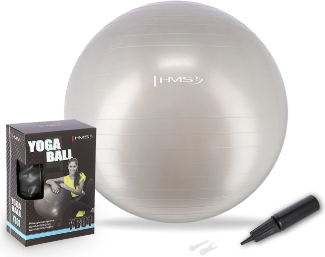 Gym Ball 65 cm Grey HMS