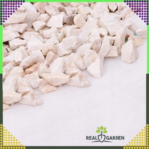 Agrotextile blanc 70 g/m² 1,6 × 100 m anti-mauvaises herbes + ancres UV