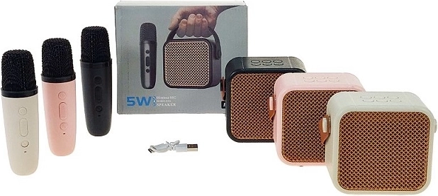 Altoparlante con microfono per karaoke e intrattenimento domestico