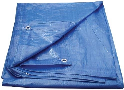 Bâche de couverture avec œillets 2 × 3 m, bleu – Economy