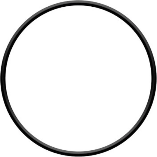 O-ring for the filter head ProStar 4 and ProStar 6