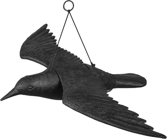 spaventapasseri corvo sospeso