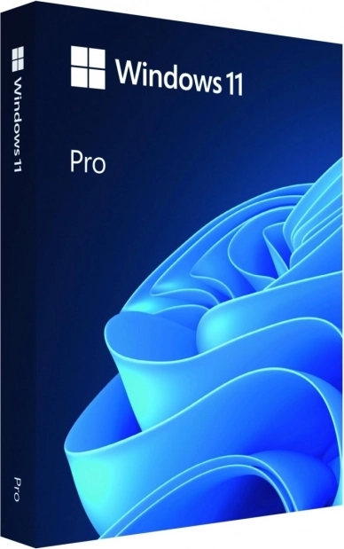Windows Pro 11 64bit Chiavetta USB